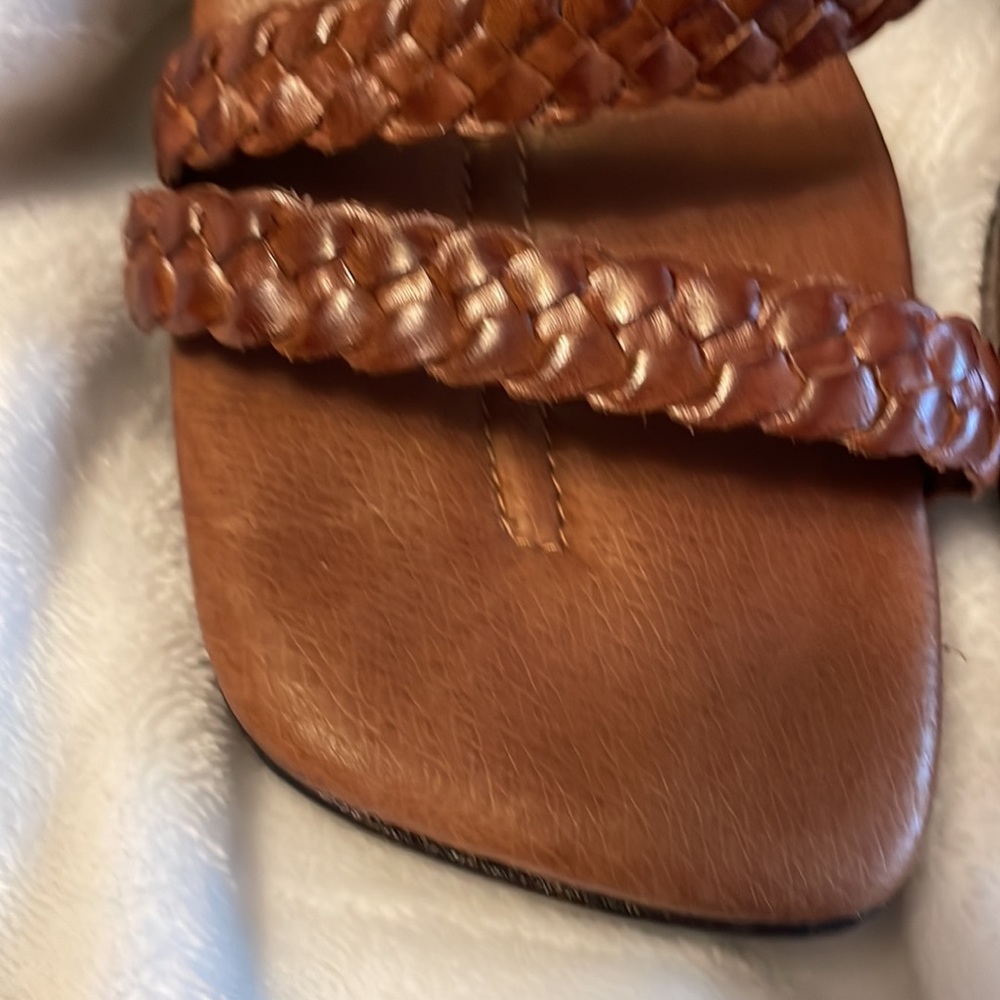 Apostrophe - image 3